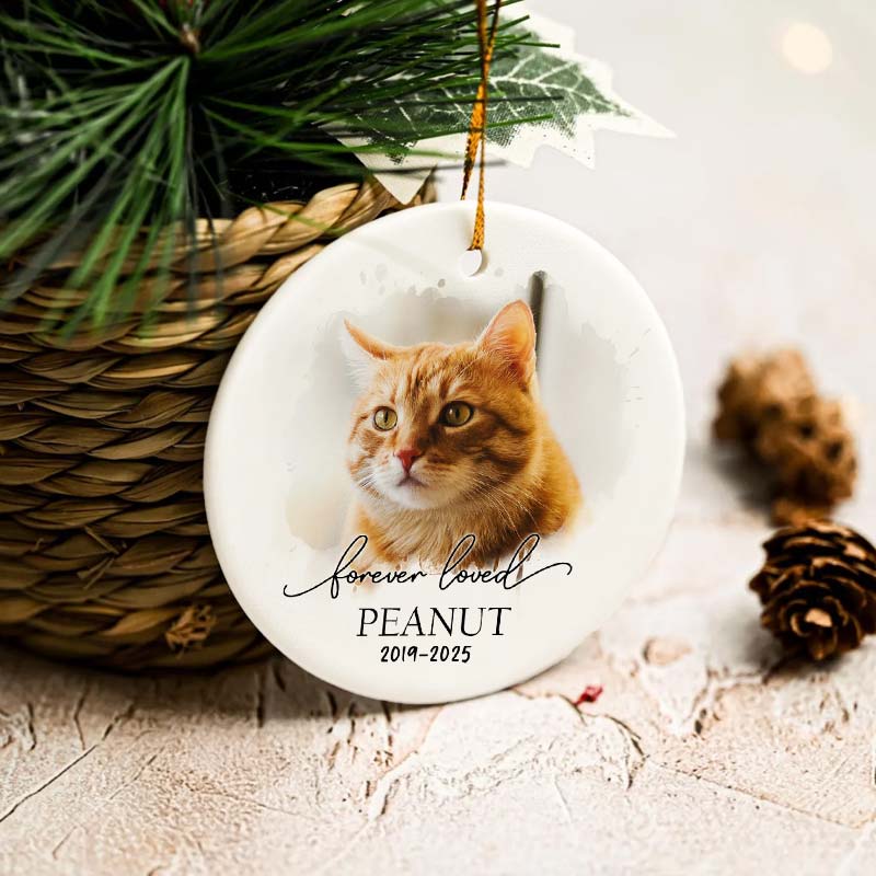 Forever Loved Pet Photo - Personalized Circle Ceramic Ornament