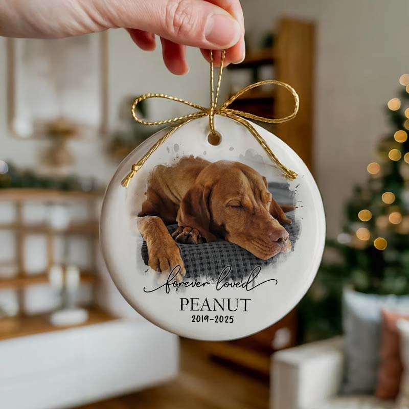 Forever Loved Pet Photo - Personalized Circle Ceramic Ornament