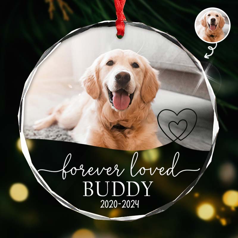 Forever Loved - Gift For Pet Lovers - Personalized Circle Glass Ornament