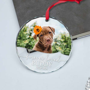 Forever Loved - Gift For Pet Lovers - Personalized Circle Glass Ornament