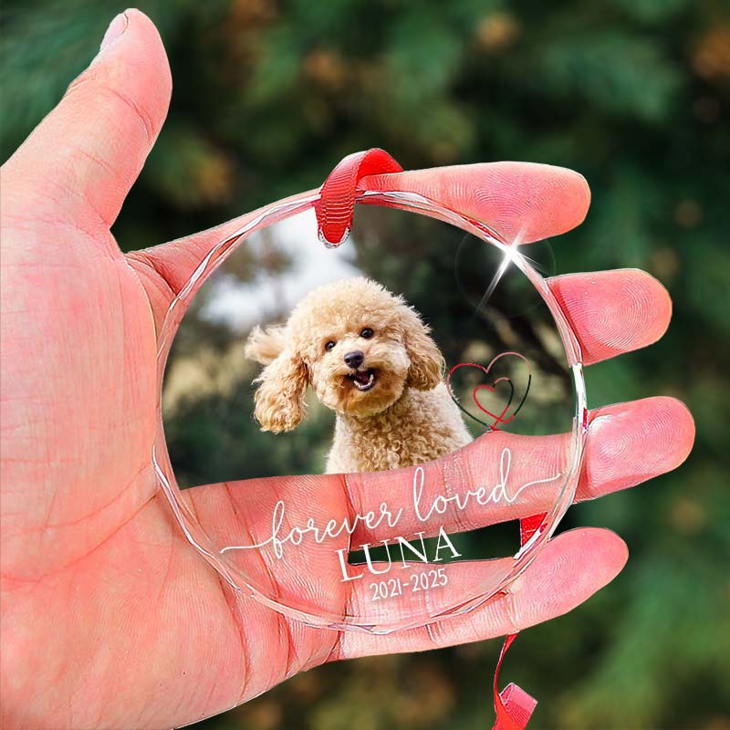 Forever Loved - Gift For Pet Lovers - Personalized Circle Glass Ornament