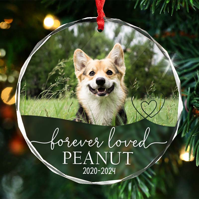 Forever Loved - Gift For Pet Lovers - Personalized Circle Glass Ornament