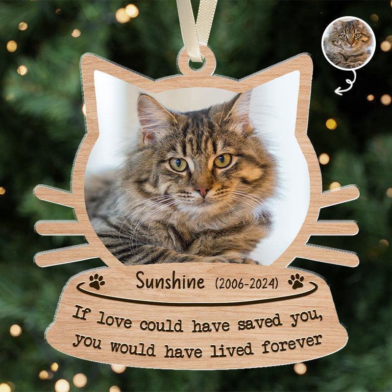 If Love Could Have Saved You - Pet Memorial Gift - Personalized Acrylic Ornament