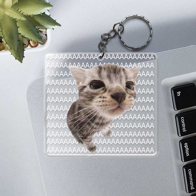 Funny Cat Cute Meme - Cat Lovers, Pet Lovers - Personalized Acrylic Keychain