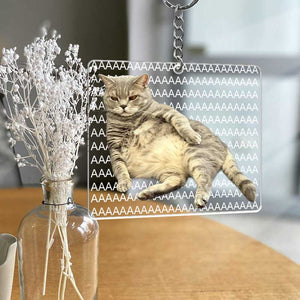 Funny Cat Cute Meme - Cat Lovers, Pet Lovers - Personalized Acrylic Keychain