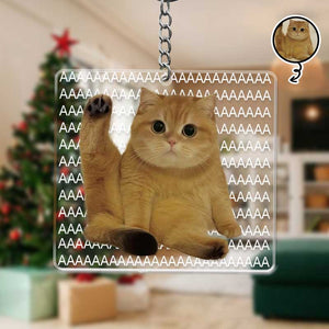 Funny Cat Cute Meme - Cat Lovers, Pet Lovers - Personalized Acrylic Keychain