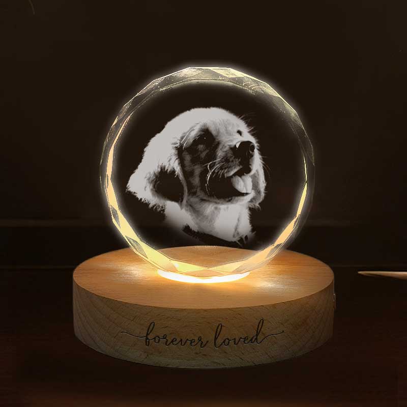 Custom Photo Forever Loved - Personalized Crystal Night Light