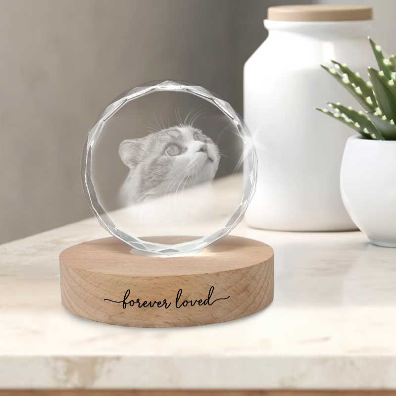 Custom Photo Forever Loved - Personalized Crystal Night Light