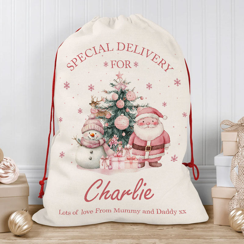 Special Delivery - Custom Christmas Gift For Kids - Personalized Christmas Bag