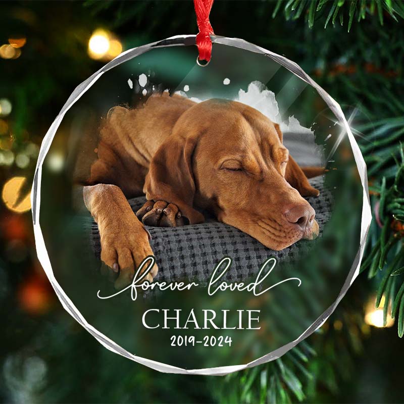 Forever Loved Pet Photo - Personalized Circle Glass Ornament