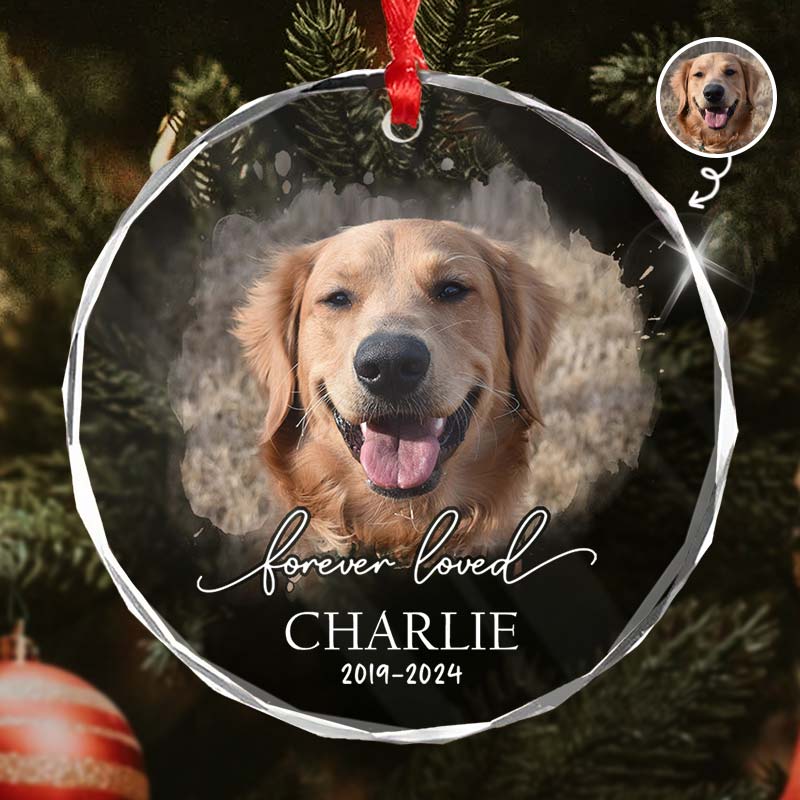 Forever Loved Pet Photo - Personalized Circle Glass Ornament